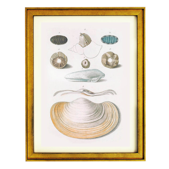 Echoes from the Ocean Floor Art Print