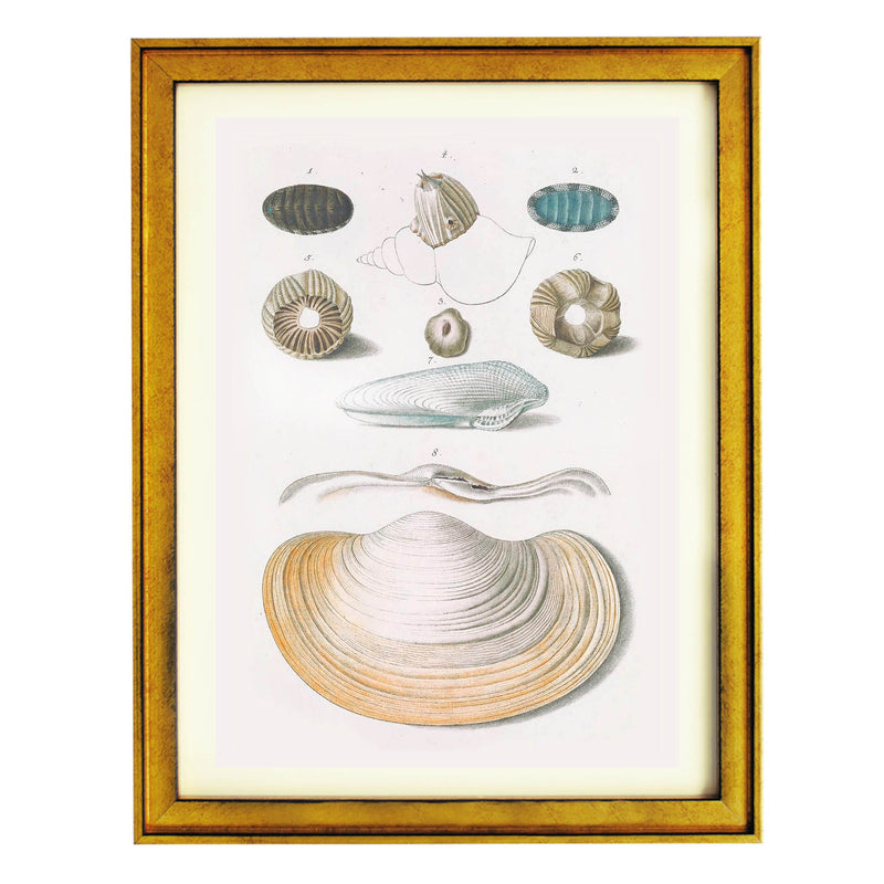 Echoes from the Ocean Floor Art Print