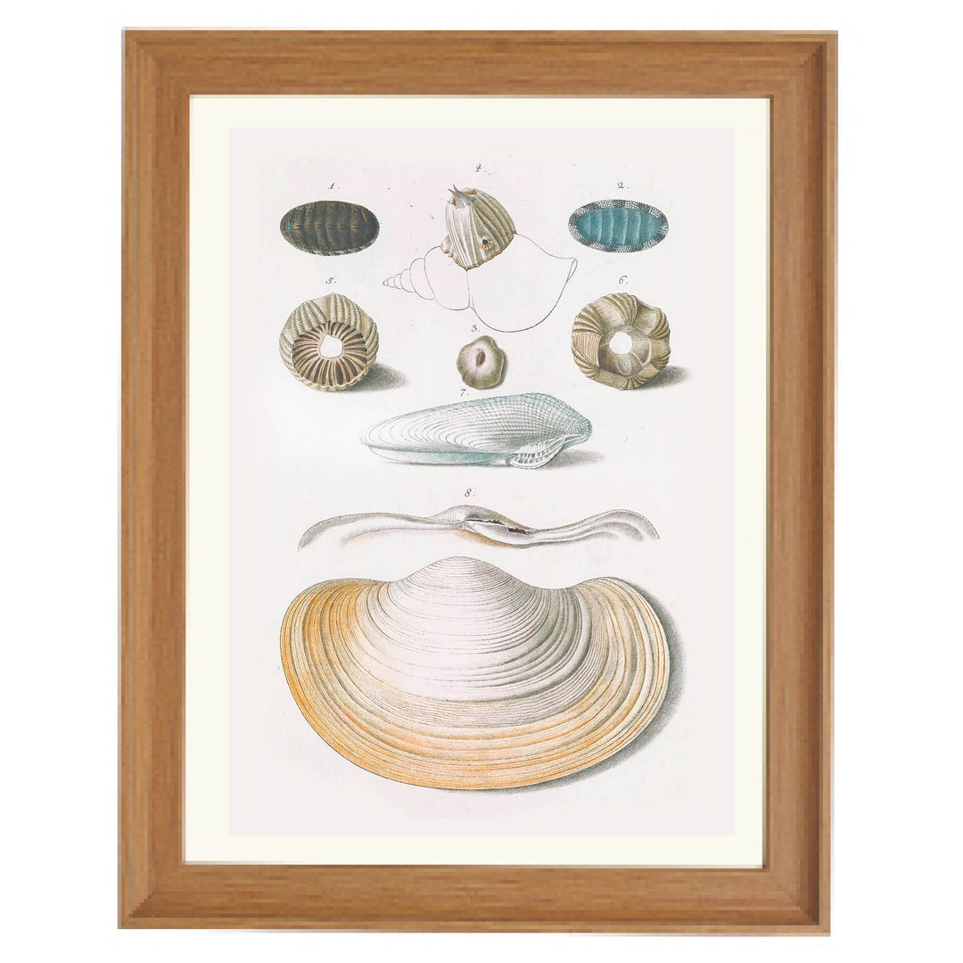 Echoes from the Ocean Floor Art Print