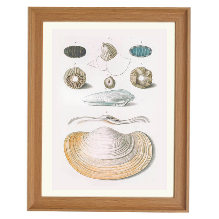 Echoes from the Ocean Floor Art Print