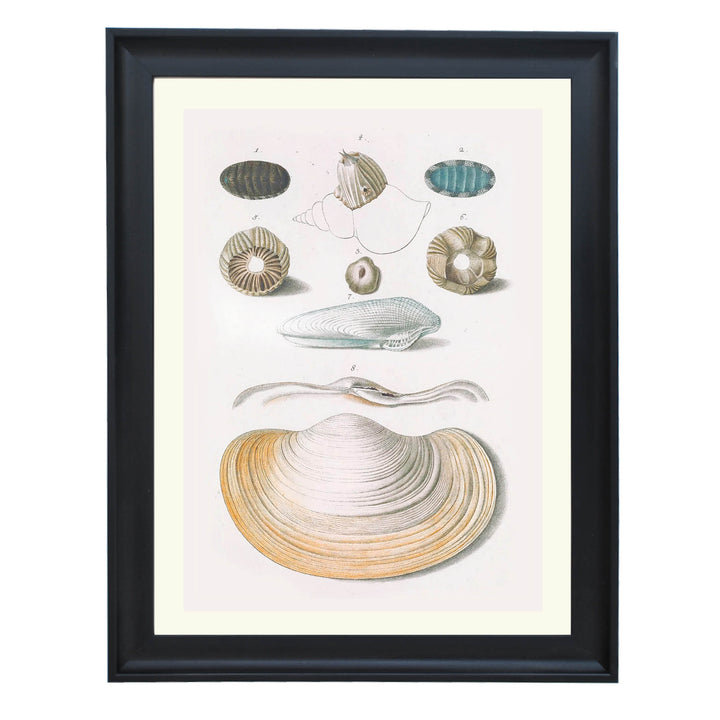 Echoes from the Ocean Floor Art Print