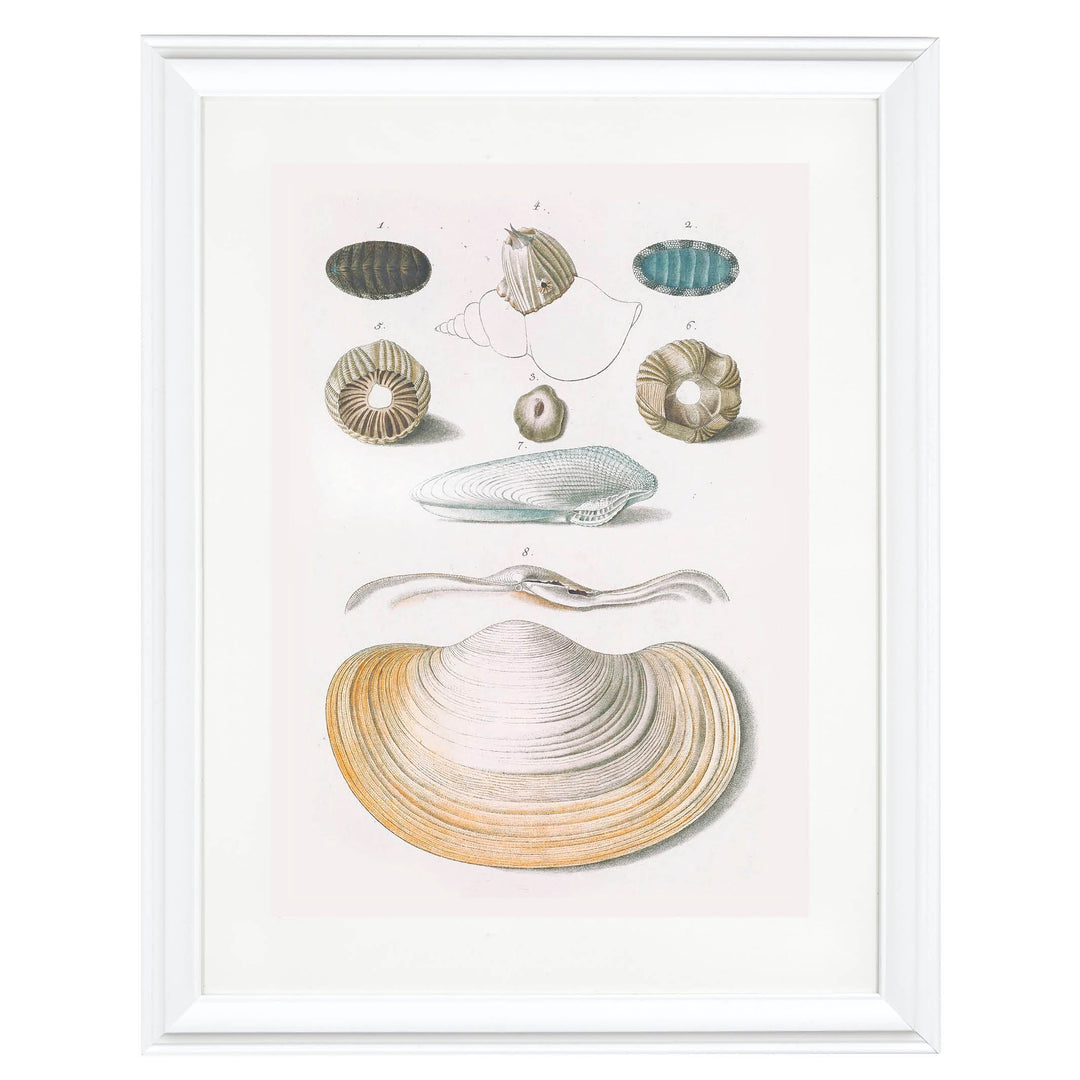 Echoes from the Ocean Floor Art Print