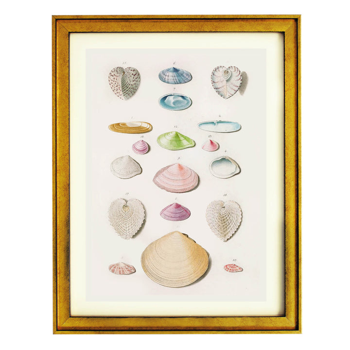Treasures of the Tide Art Print
