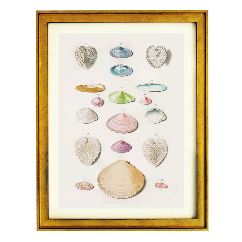 Treasures of the Tide Art Print