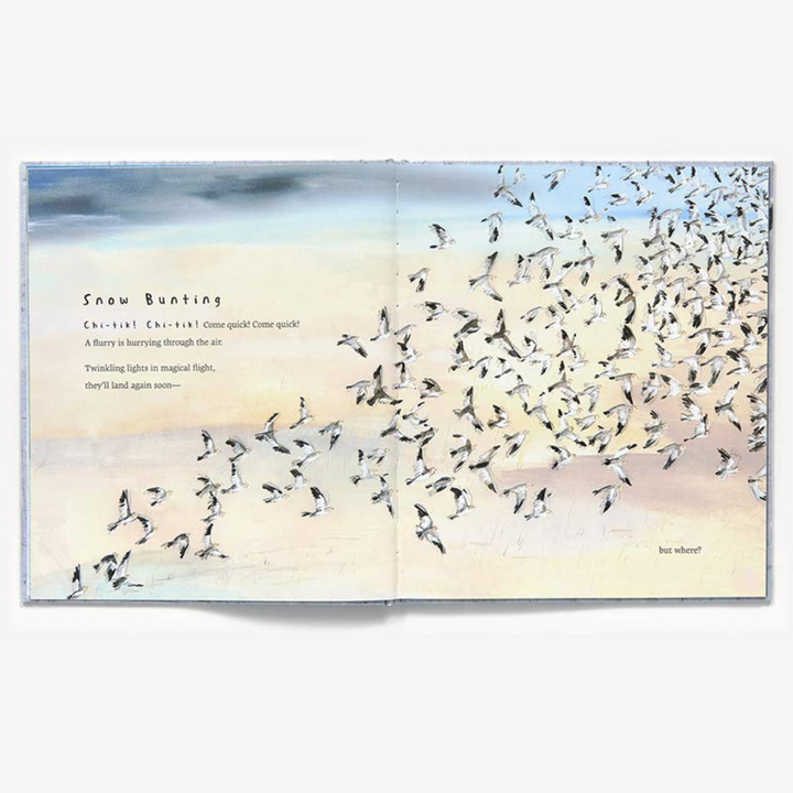 Snow Birds: 1 Book