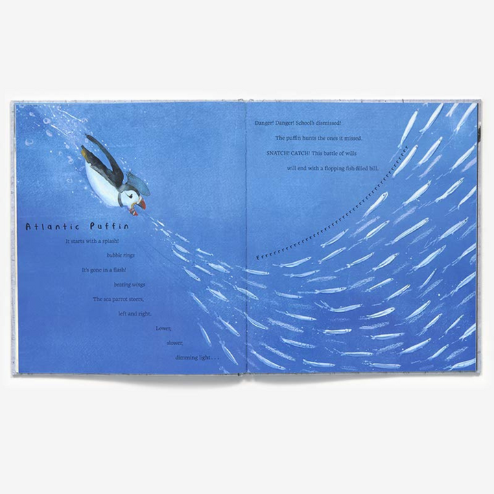 Snow Birds: 1 Book