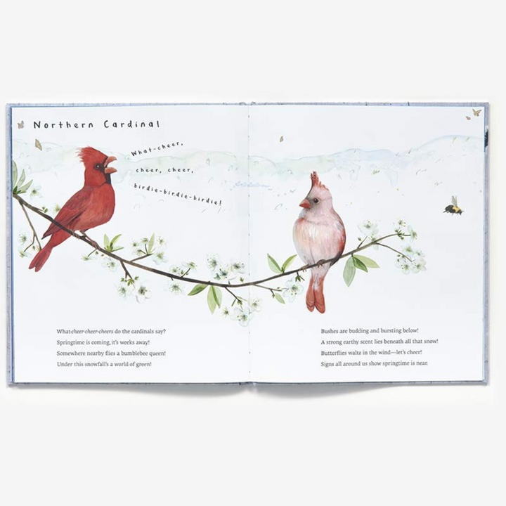 Snow Birds: 1 Book