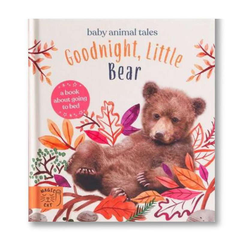 Goodnight, Little Bear: A Book About Going to Bed Book