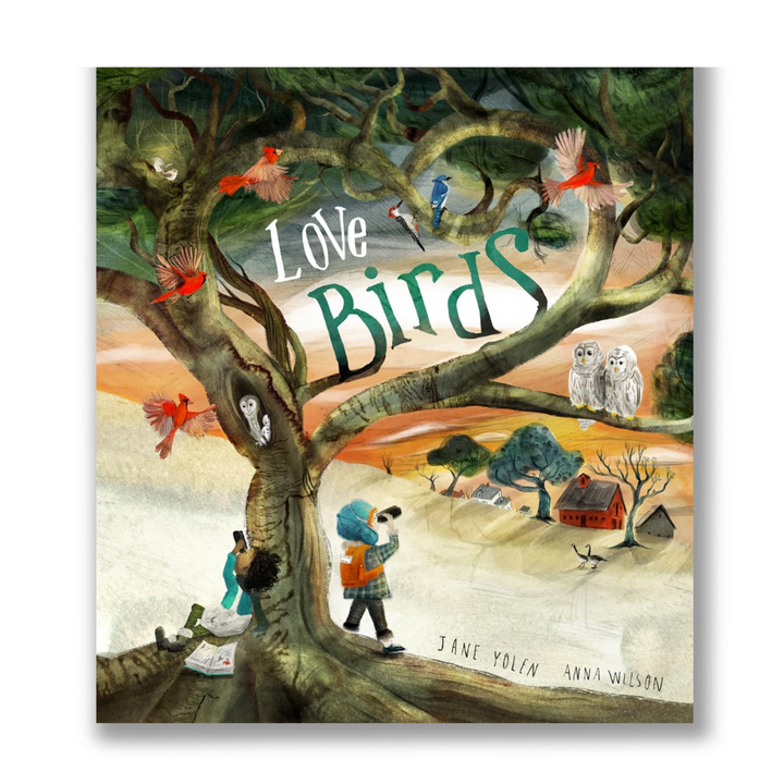 Love Birds Book