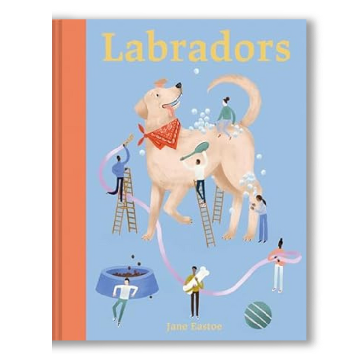 Labradors: What labradors want: in their own words, woofs and wags (Illustrated Dog Care) Book