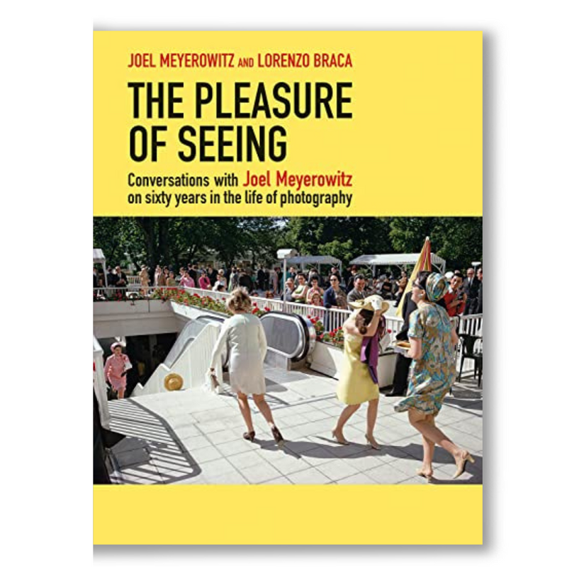 The Pleasure of Seeing: Conversations on Joel Meyerowitz's sixty years in the life of photography Book