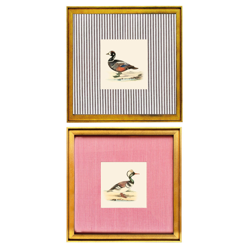 The Pond Pales Collection