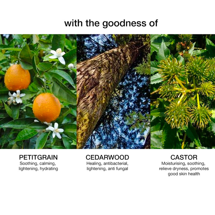 CEDARWOOD / PETITGRAIN BODY OIL