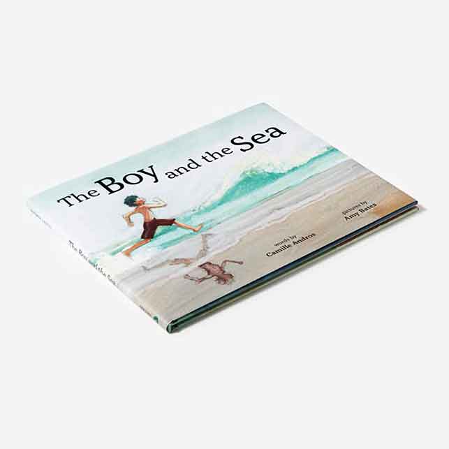 The Boy and the Sea Book