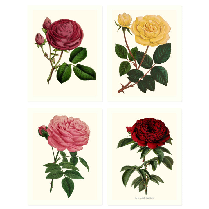 Botanical collection