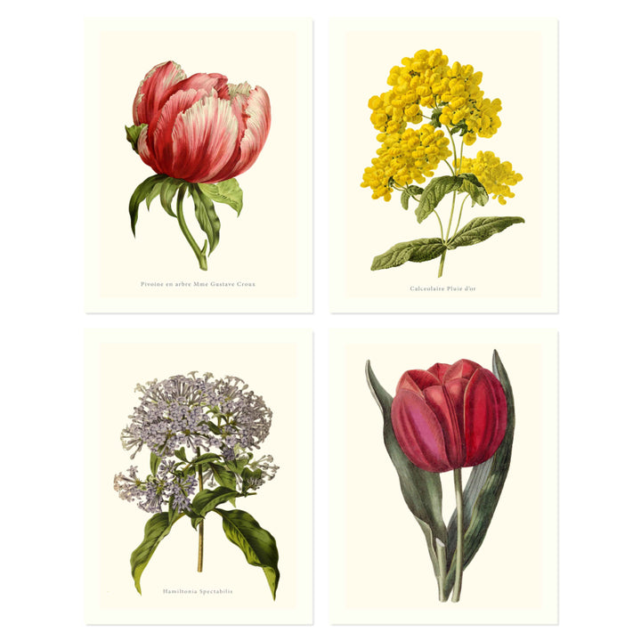 Botanical collection