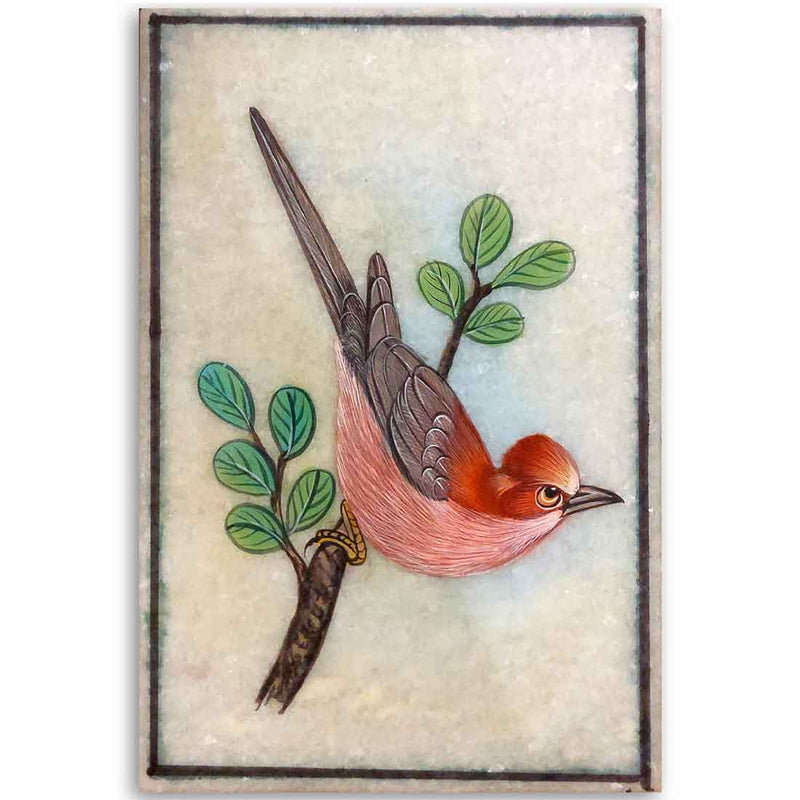 Multicolor Bird Miniature Painting on Marble