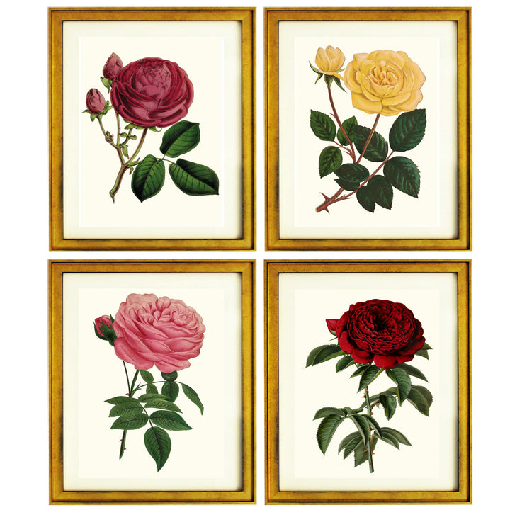 Botanical collection