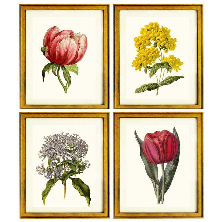 Botanical collection