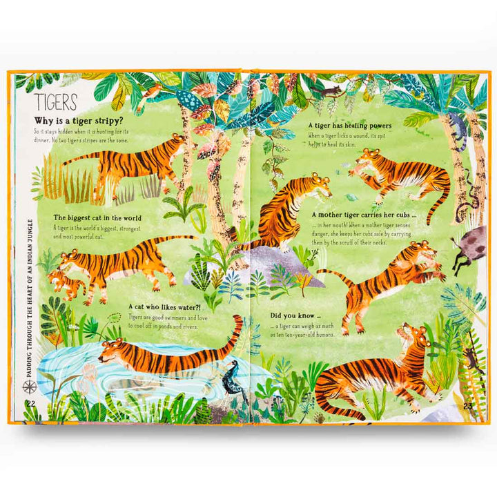 The Big Book of Beasts (The Big Book Series)