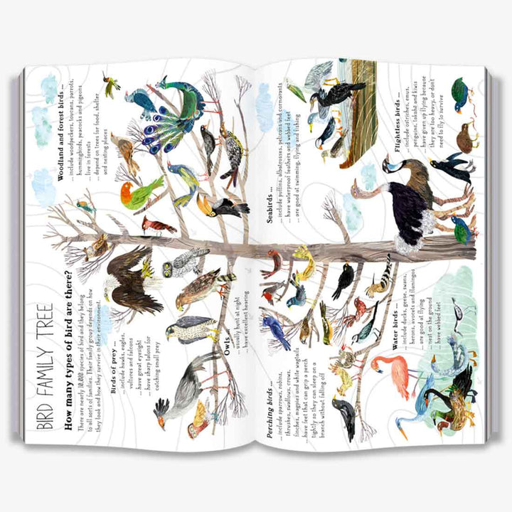 The Big Book of Birds (The Big Book Series)