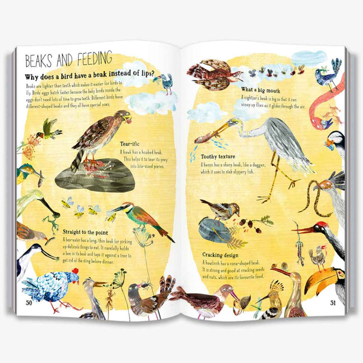 The Big Book of Birds (The Big Book Series)