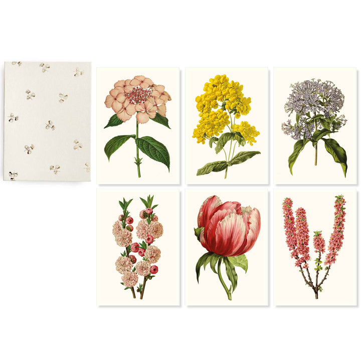 Botanical collection