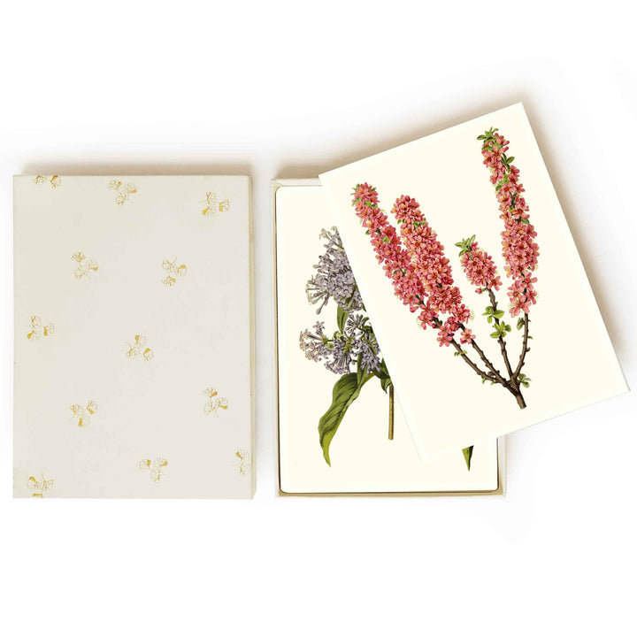 Botanical collection