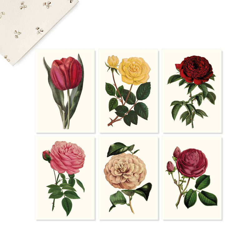 Botanical collection