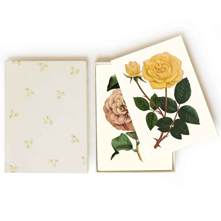 Botanical collection