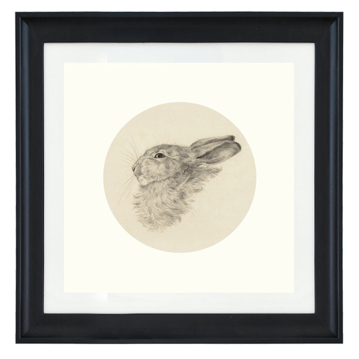A Rabbit's hare art print