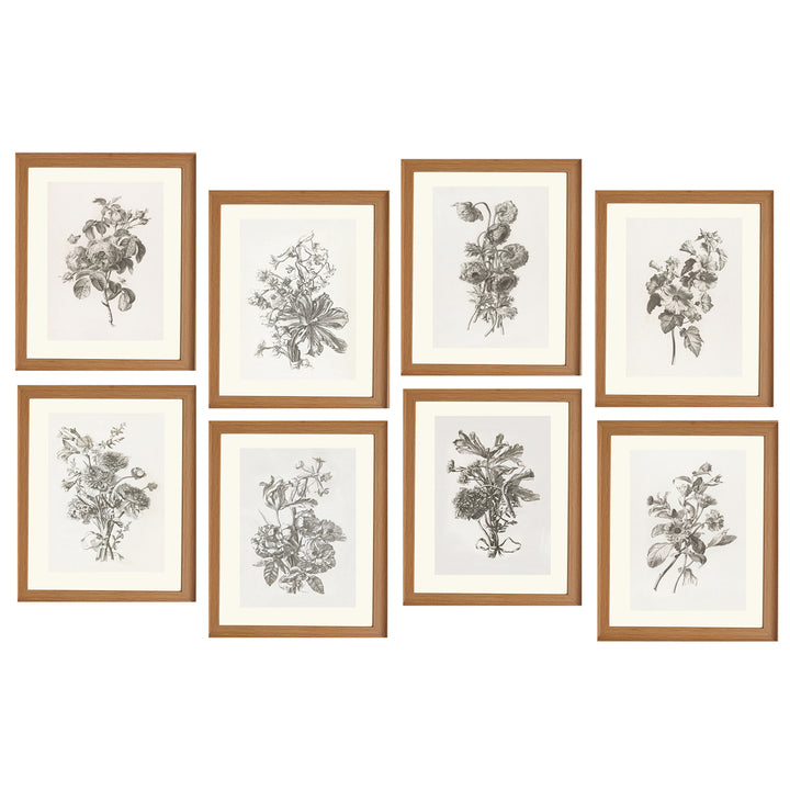 Collection of Flowers