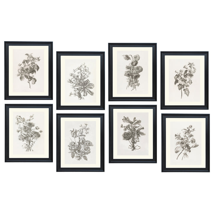 Collection of Flowers