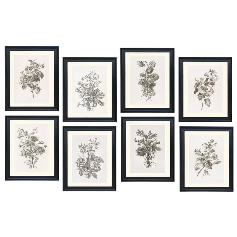 Collection of Flowers