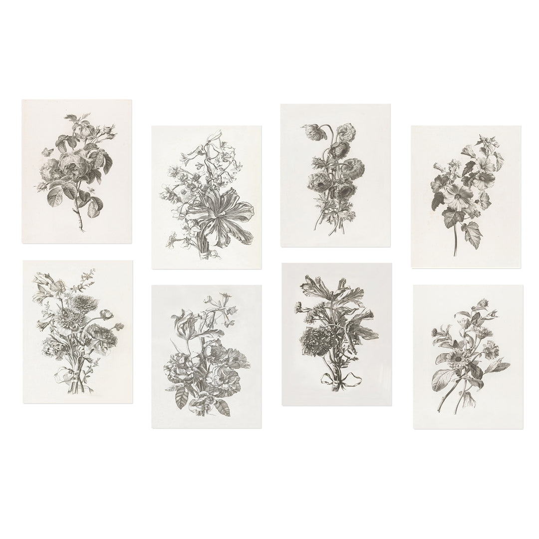 Collection of Flowers