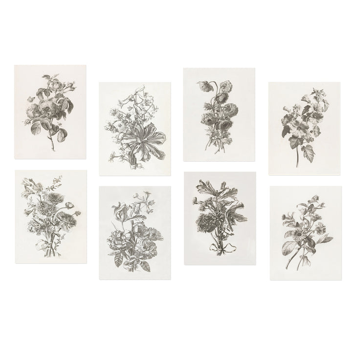 Collection of Flowers