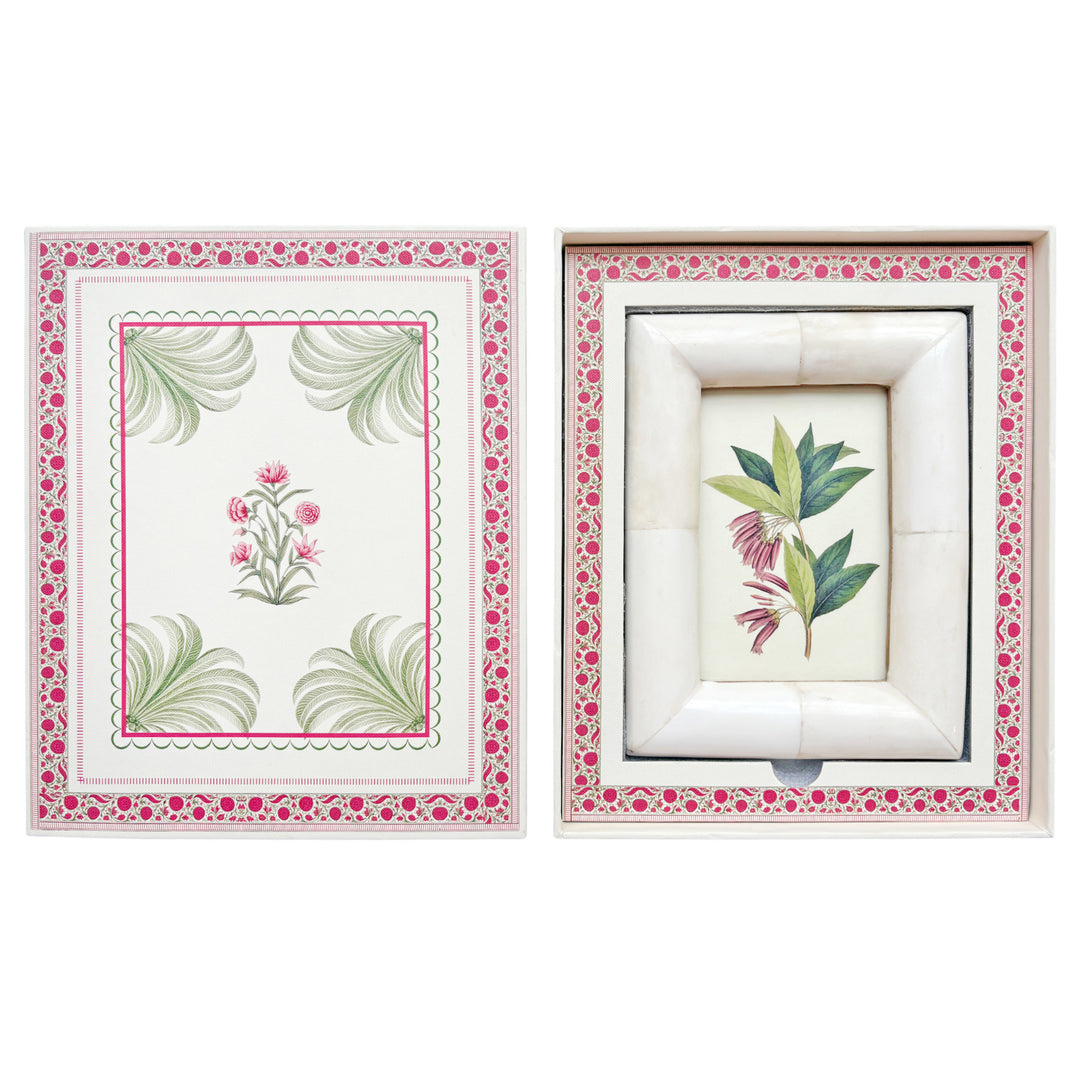 The Cream Collector’s Frame