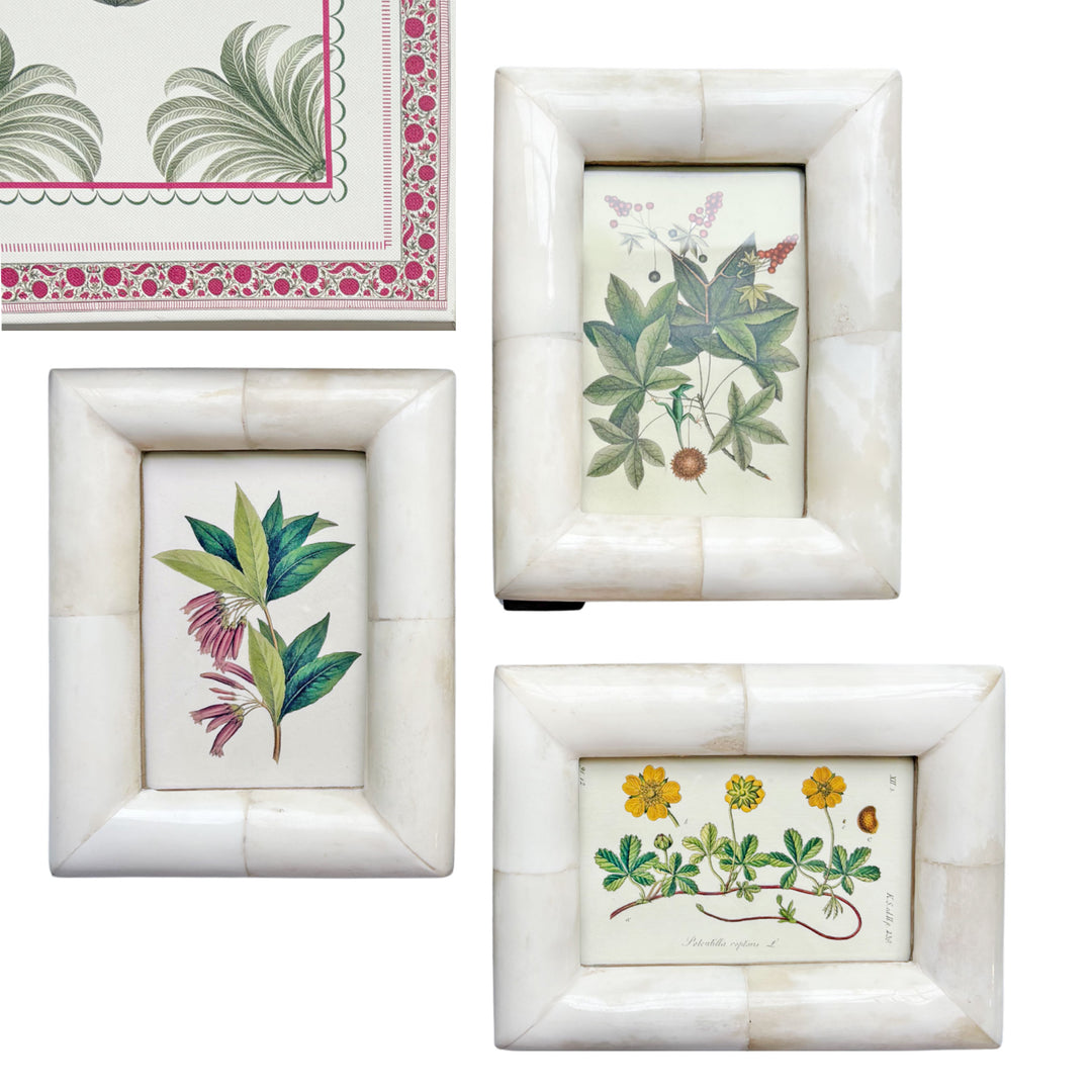 The Cream Collector’s Frame