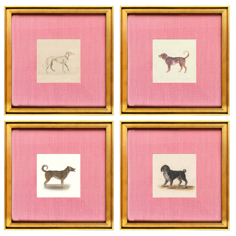 The Canine Companions Collection