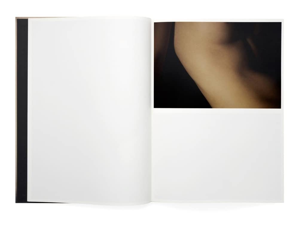 David Lynch, Digital Nudes Book