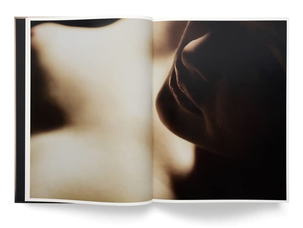 David Lynch, Digital Nudes Book