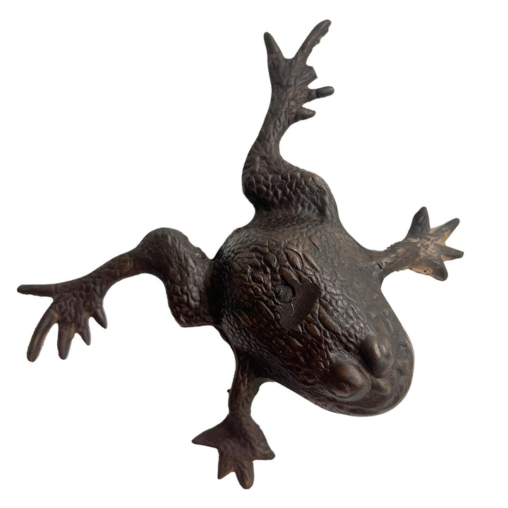 Frog Form