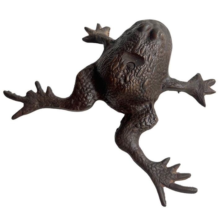 Frog Form