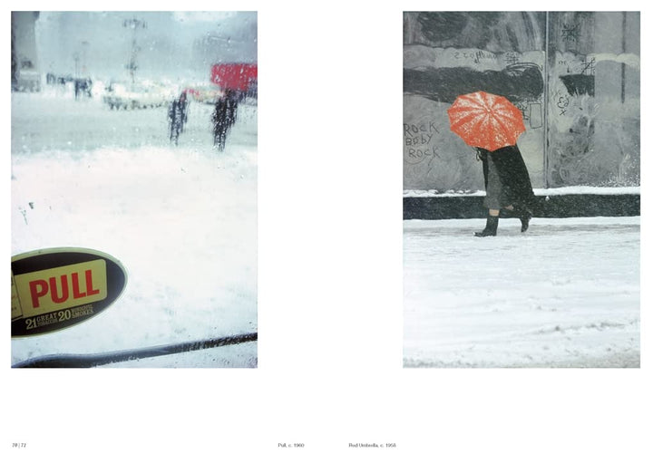 Forever Saul Leiter Book