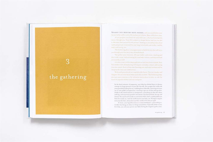 The First Forty Days: The Essential Art of Nourishing the New Mother Book