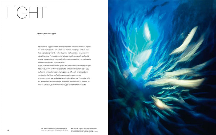 Underwater photography: by Vincenzo Paolillo Book