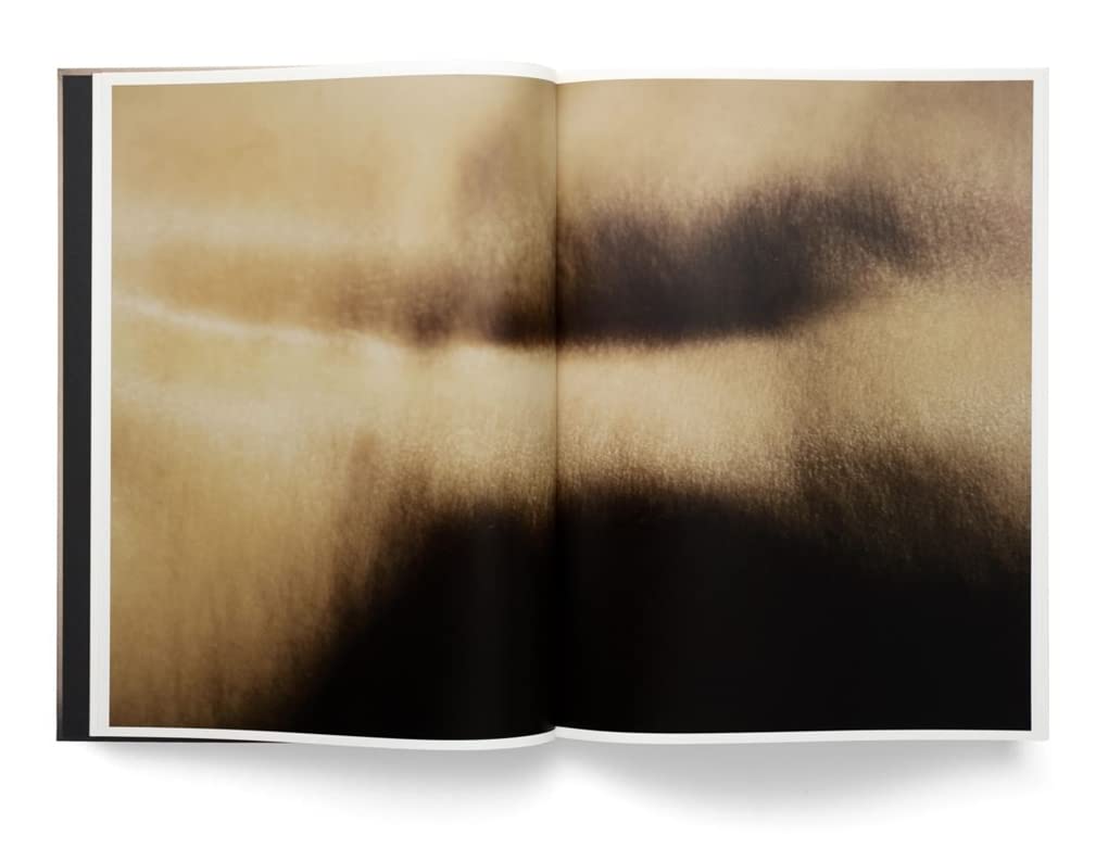 David Lynch, Digital Nudes Book