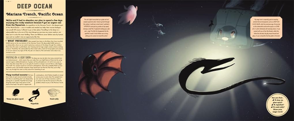 Mysteries of the Ocean: Includes Magic Torch Which Illuminates More Than 50 Marine Animals Book