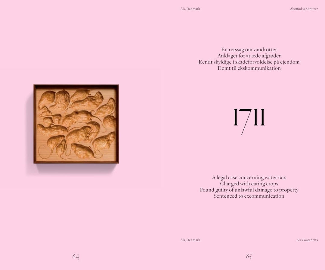 Benandsebastian: Silent Parties: Languages: English, Danish Book
