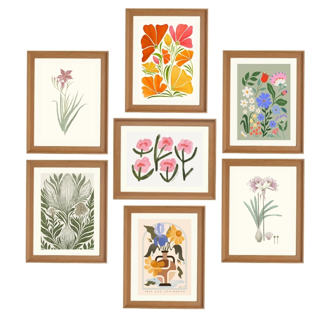 The ⁠Earth Forms Collection